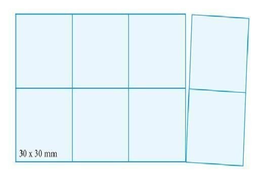 BUSTINA-DOPPIA-PER-MONETE-ECO-MISURA-30_1_-_Copia